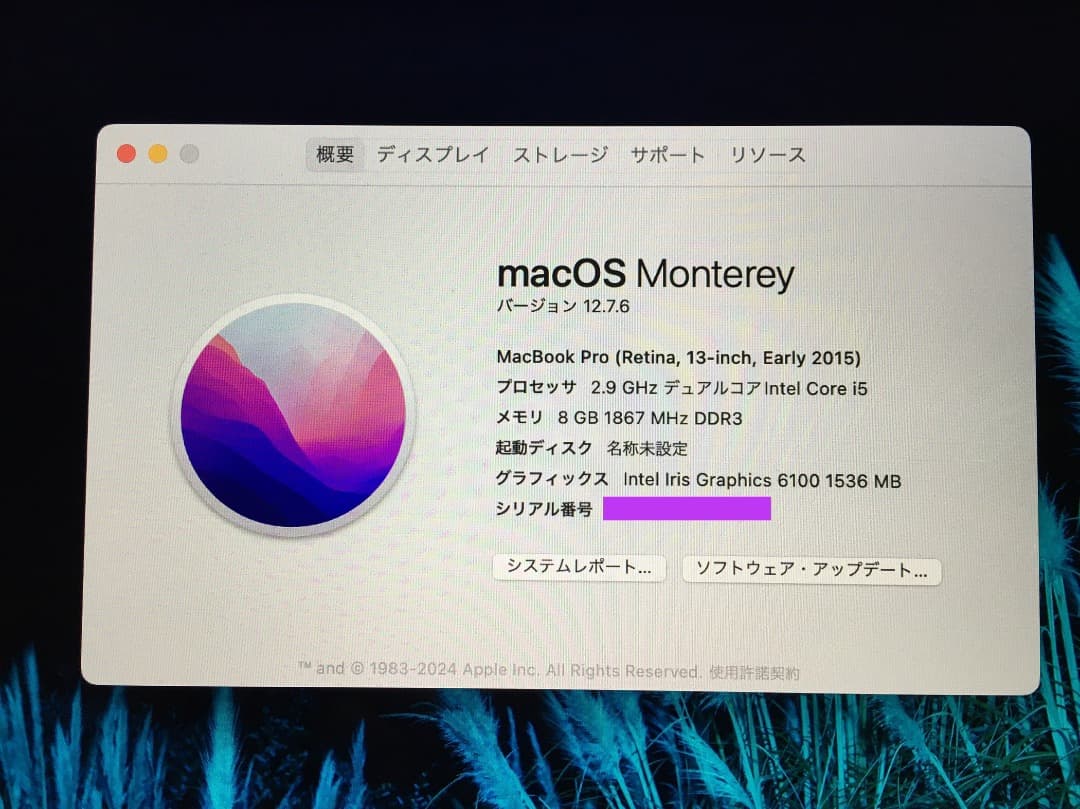 MacBook本体 Apple MacBook PRO 2015 8GB 250GB WIN11