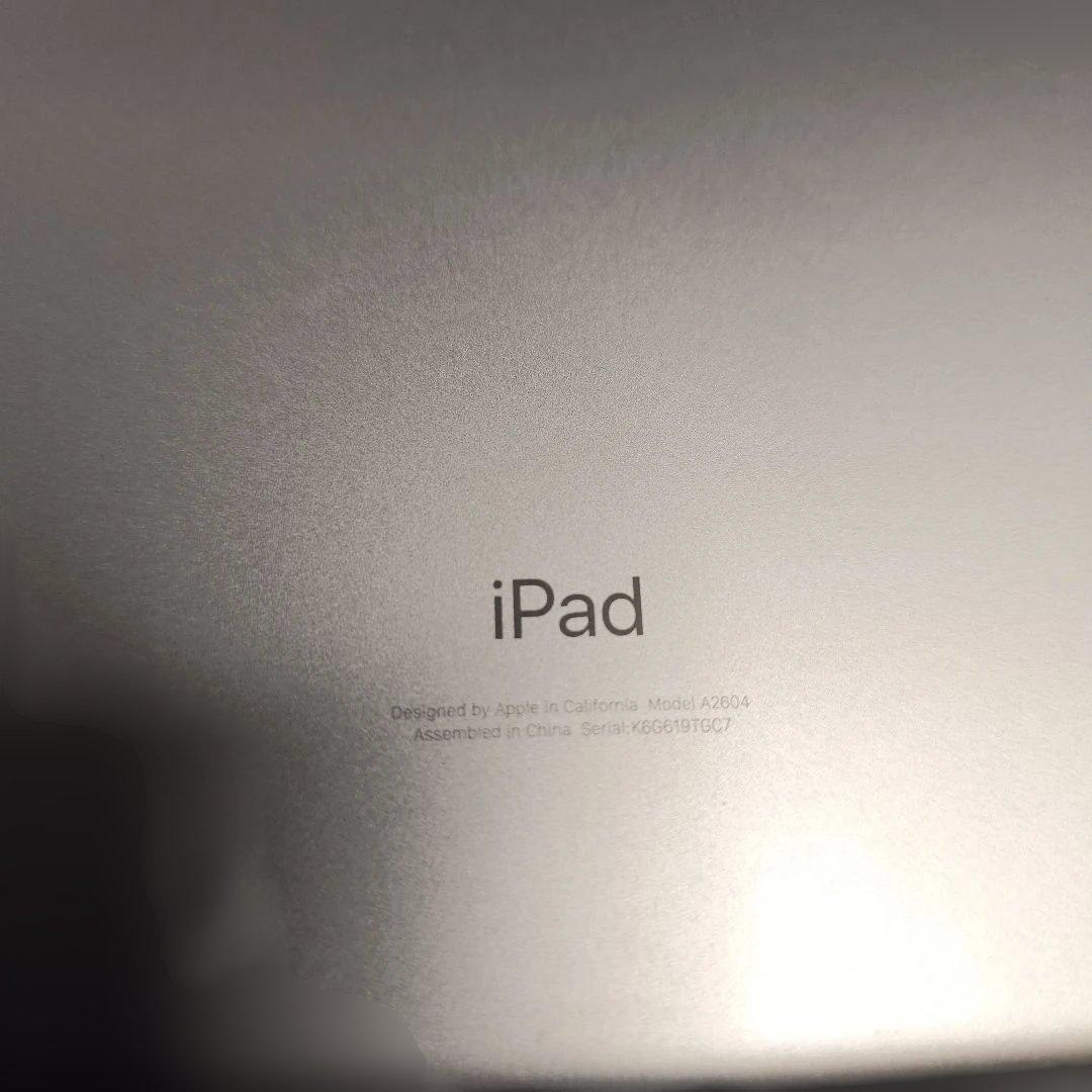 r*u様 ジャンク 第9世代 Wi-Fi+Cellular 256GB スペース