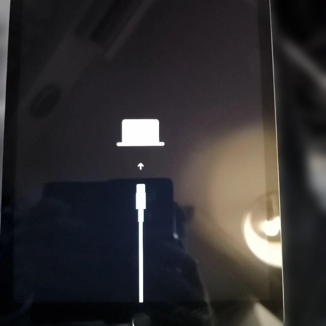 r*u様 ジャンク 第9世代 Wi-Fi+Cellular 256GB スペース