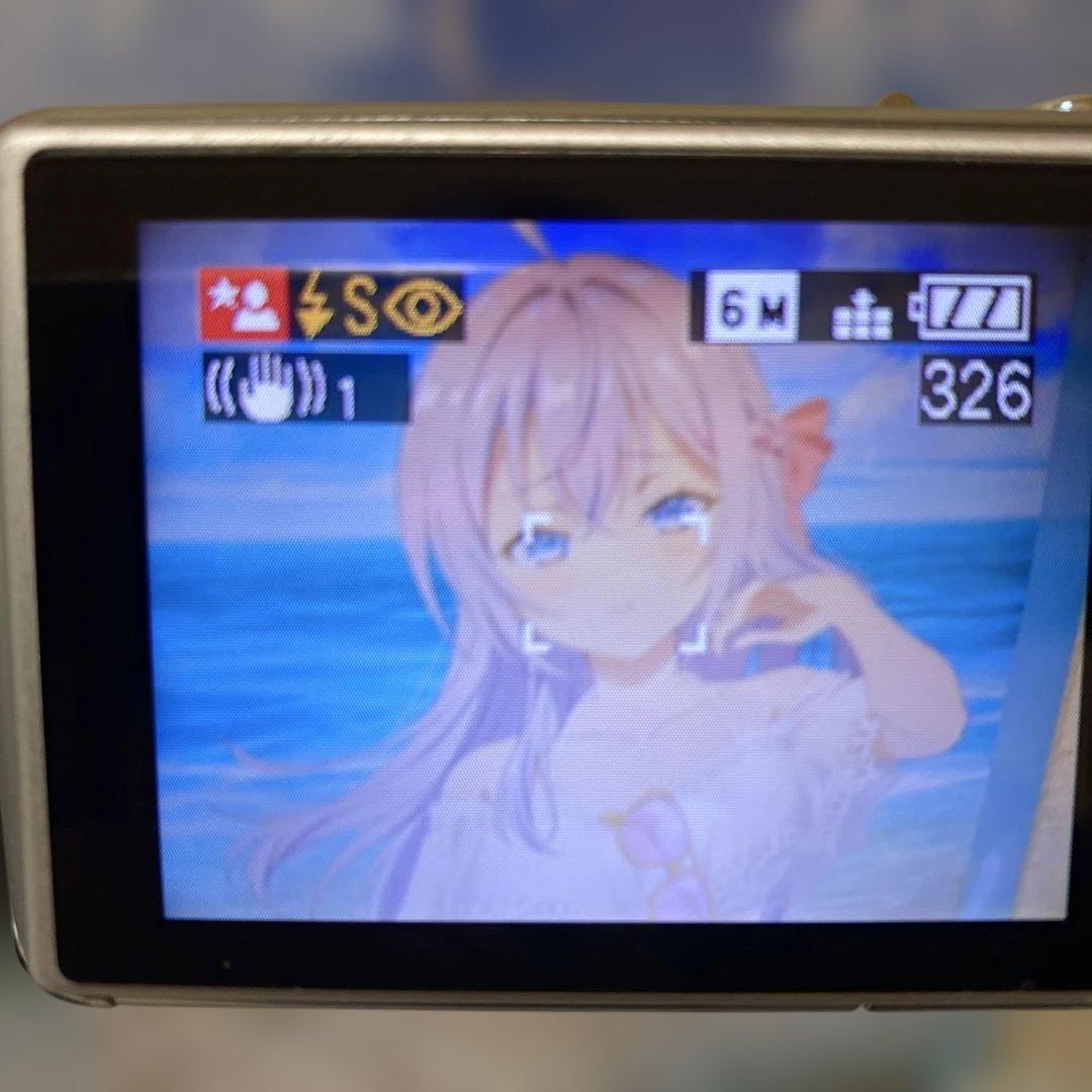 Panasonic パナソニック LUMIX DMC-FX01 デジカメ