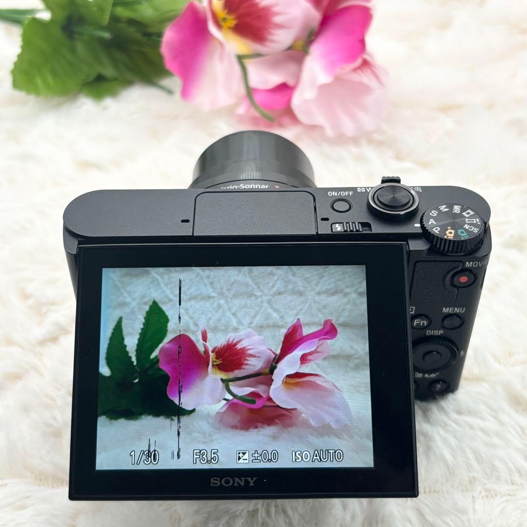 動作良好 Sony Cyber-Shot DSC-WX500 ブラック