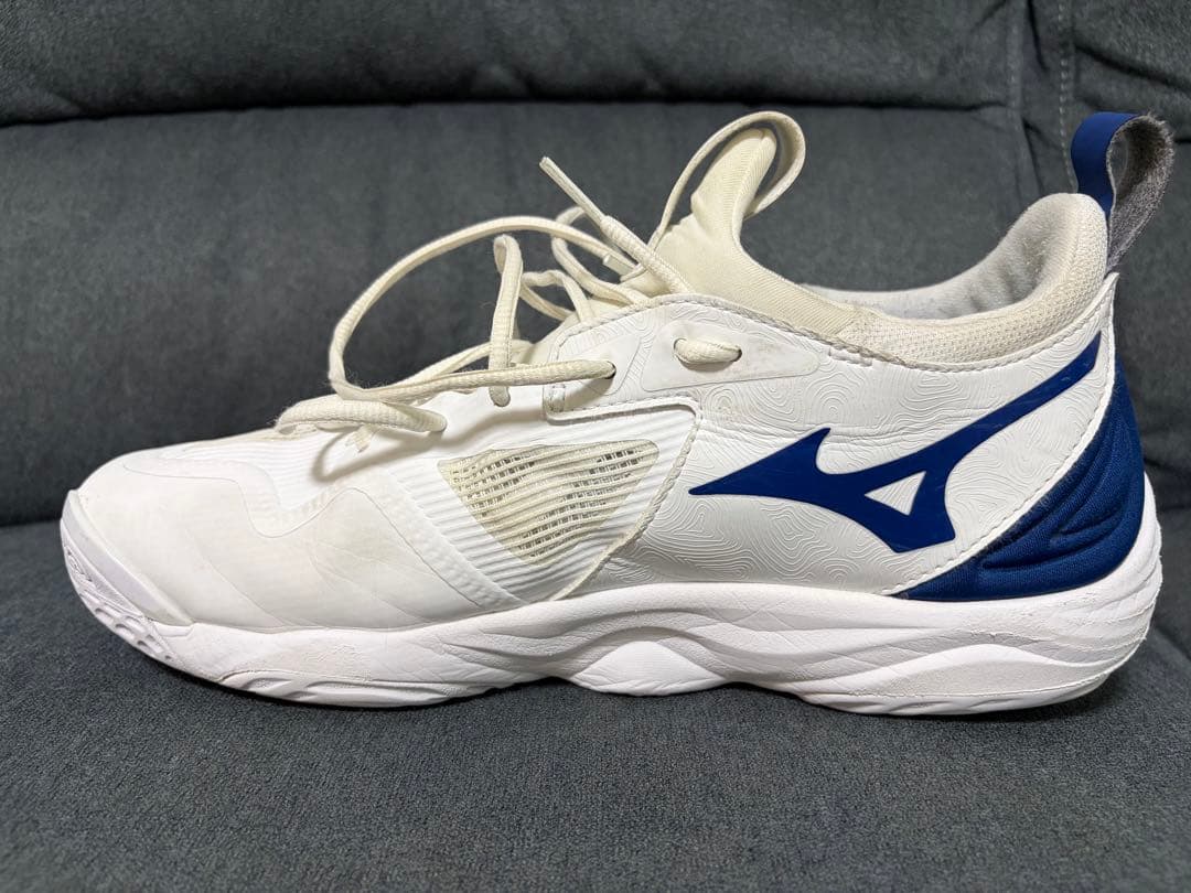 Mizuno バレーボールシューズ ウエーブモーメンタム3 28.5cm
