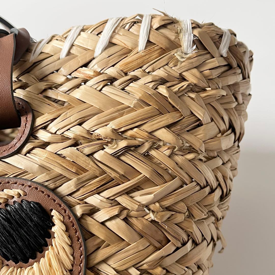 アニヤハインドマーチ　スモールバスケット ペーパーアイズ　天然草木　ブラウン系