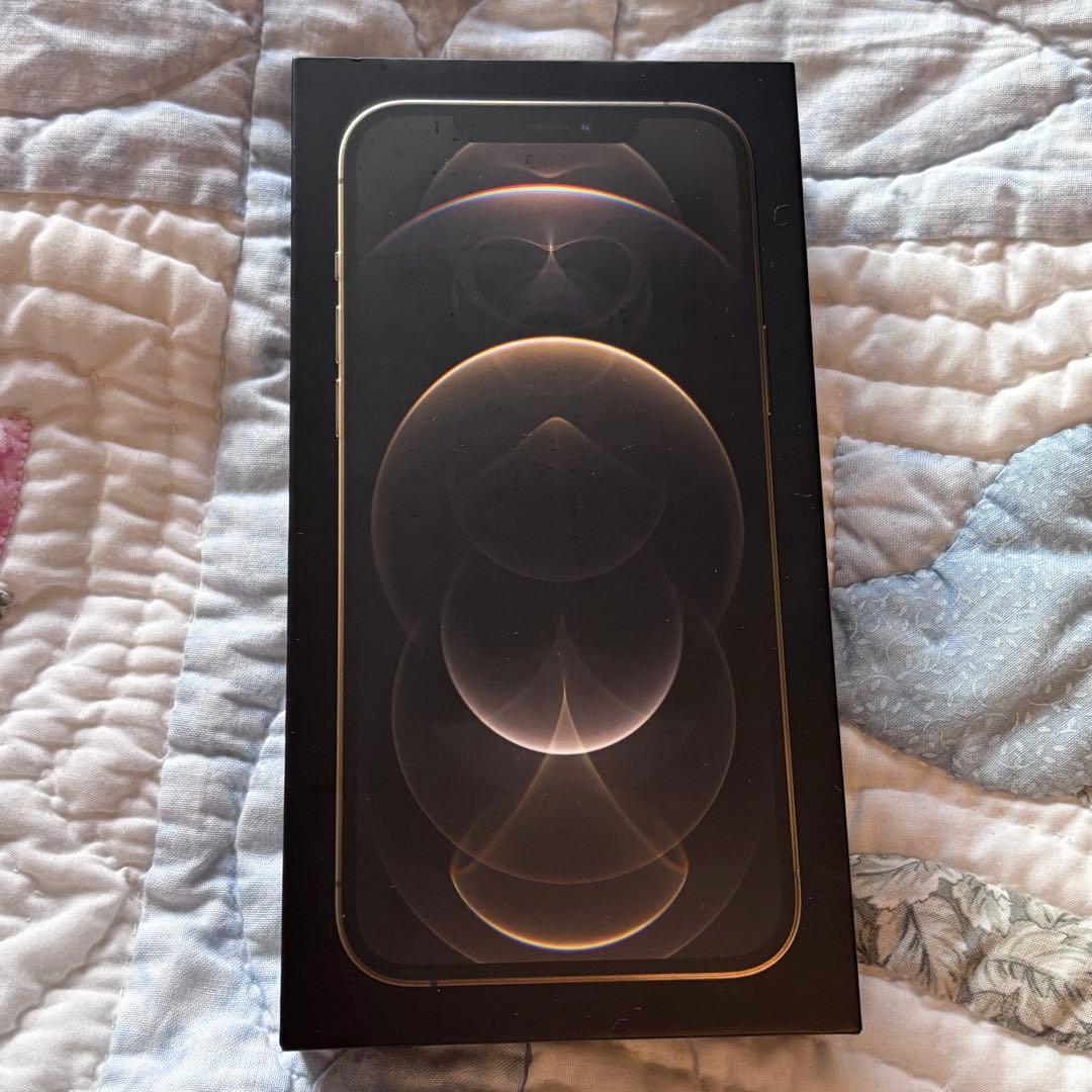 【超美品】iPhone 12 Pro Max 256GB simフリー箱付き