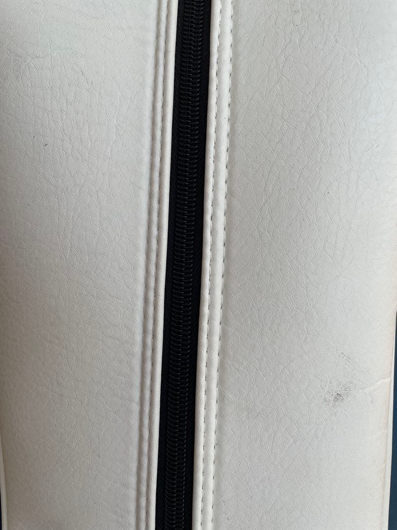 TaylorMade ゴルフバッグ 青白