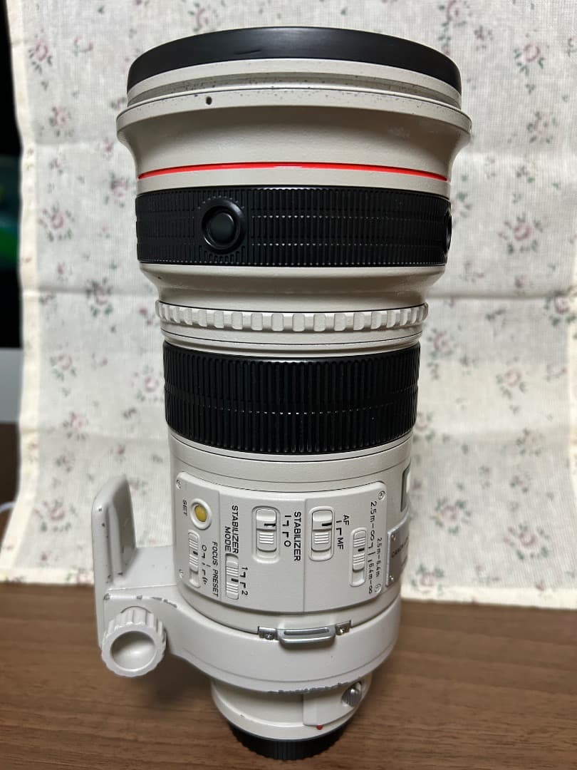 【なお-R】CANON EF300mm 1:2.8 L IS USM