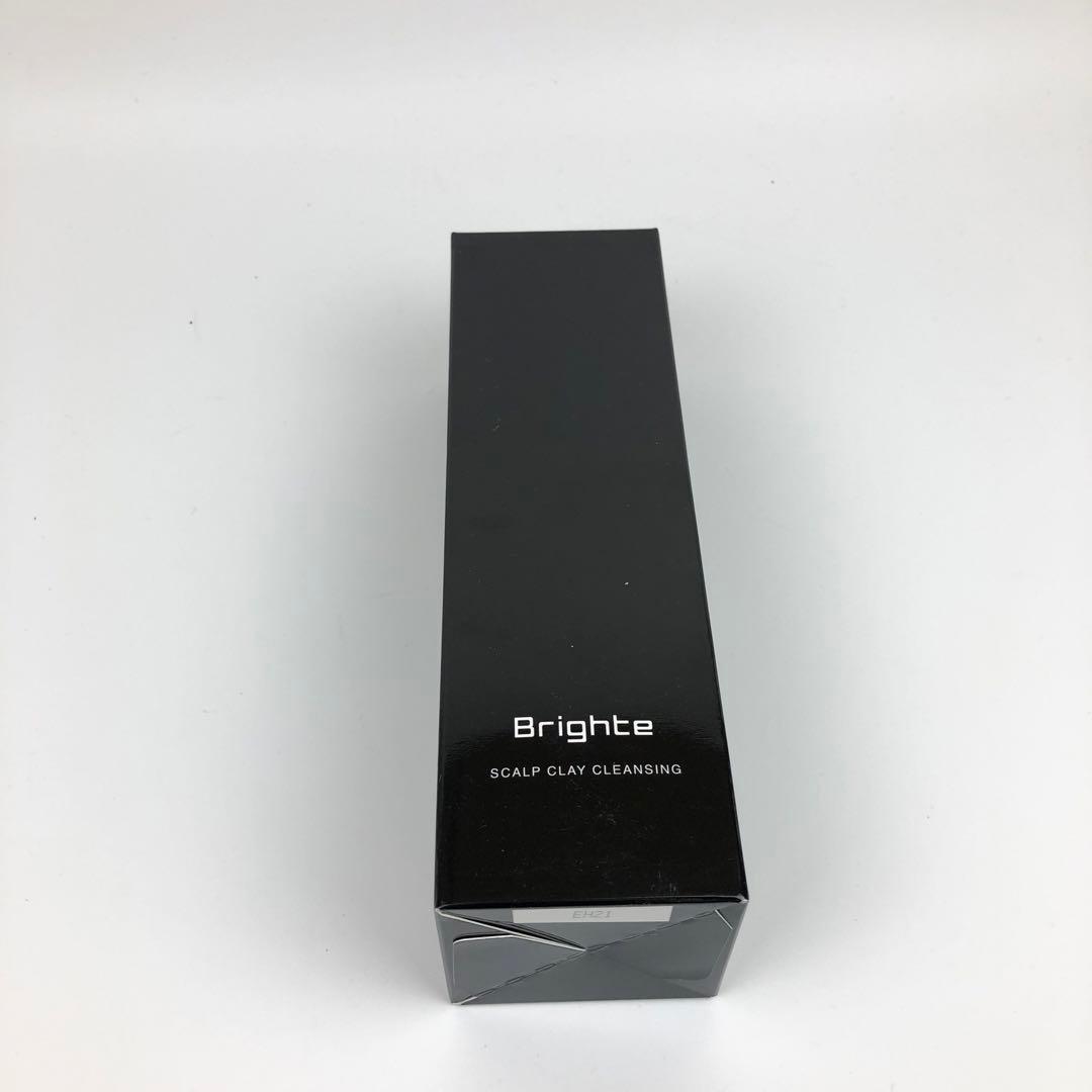 【新品】Brighte BRT-SD173 ブライト シャワードライヤー セット