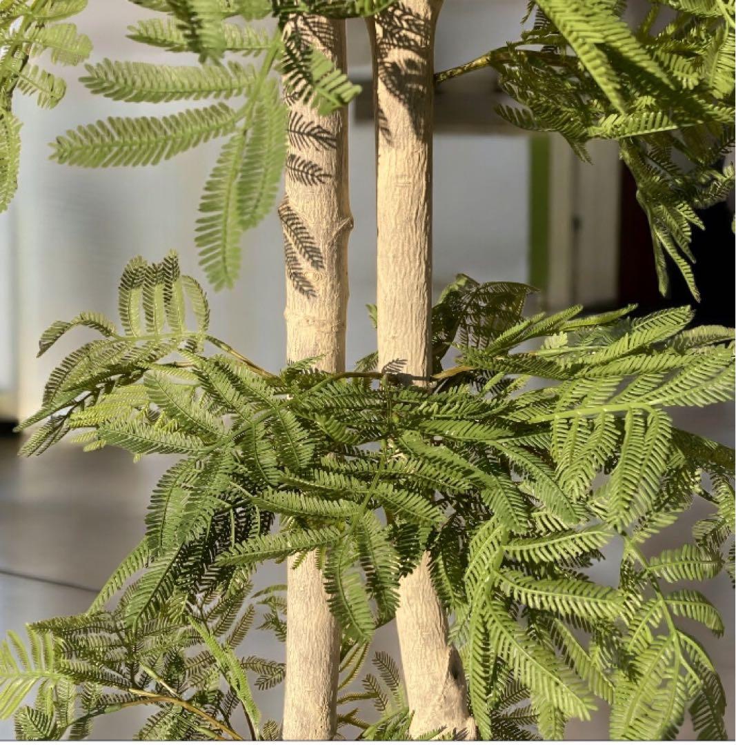 光触媒　人工観葉植物　ウォールグリーン　フェイクグリーン　エバーフレッシュ182