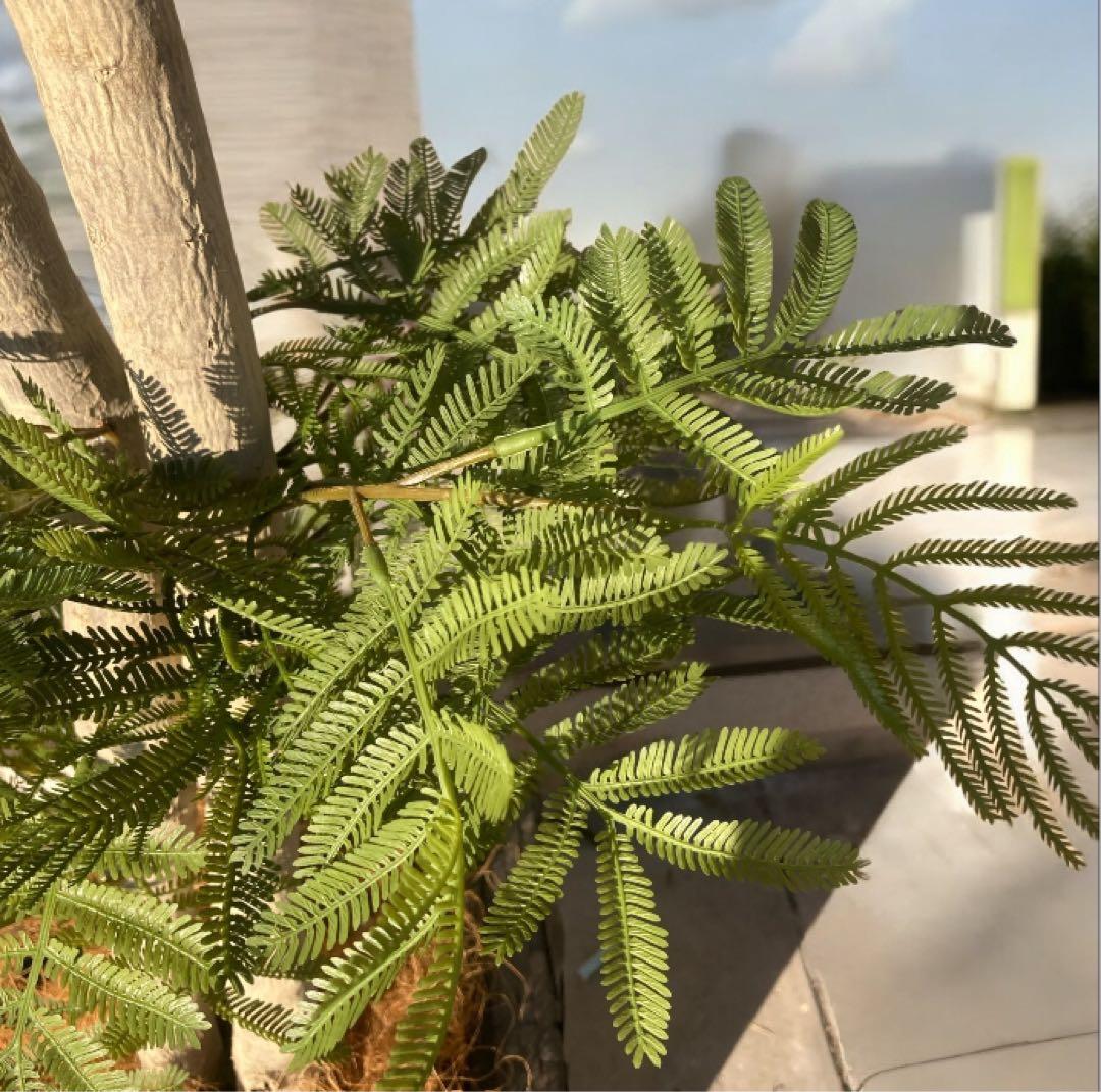 光触媒　人工観葉植物　ウォールグリーン　フェイクグリーン　エバーフレッシュ182