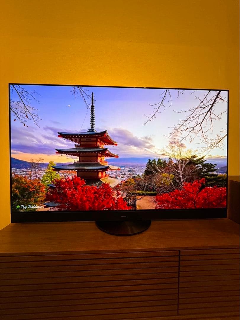 【らんまる様】Panasonic 2024年製 55型 TH-55MZ2500