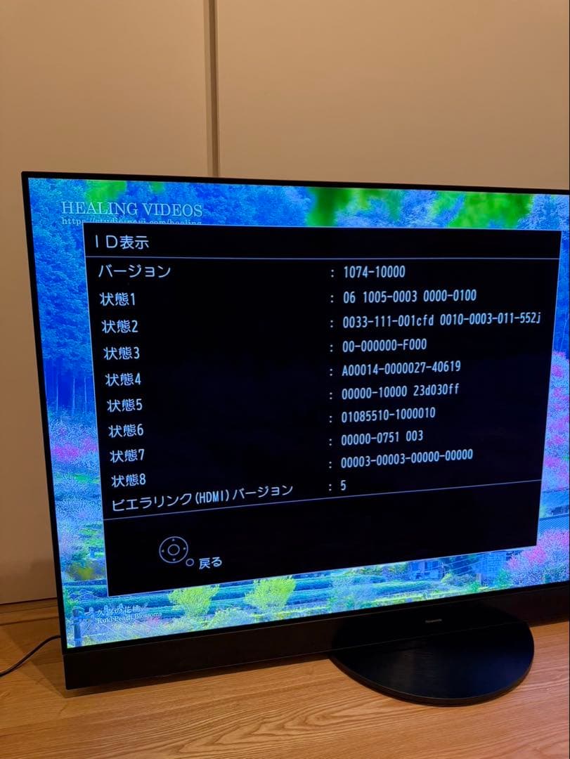 【らんまる様】Panasonic 2024年製 55型 TH-55MZ2500