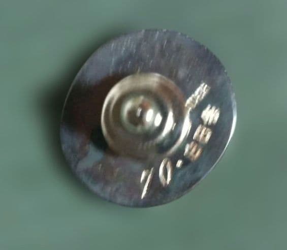 白日会創立70回記念バッジ 1994年