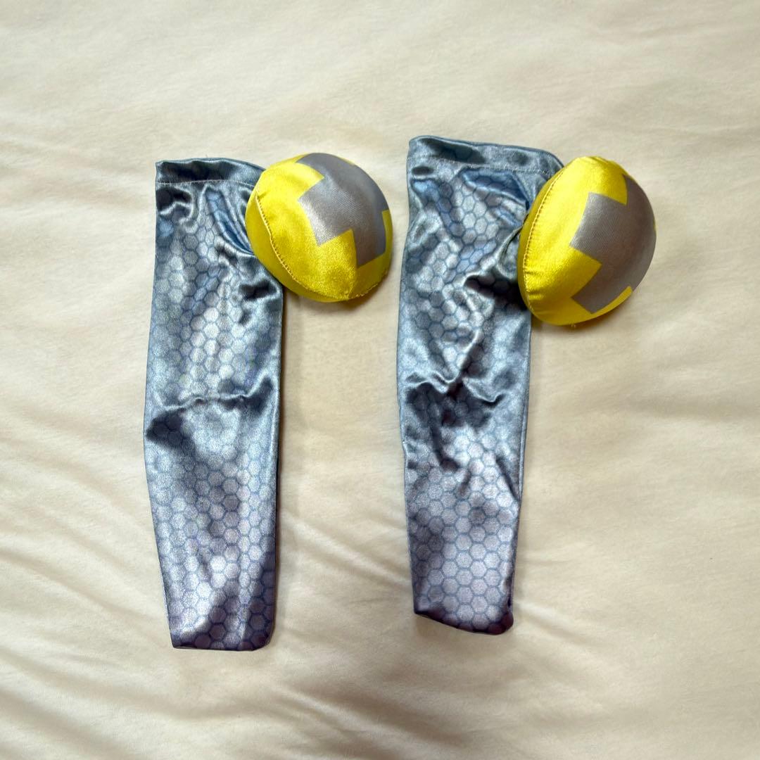 ポケモンSV ナンジャモ フルセット