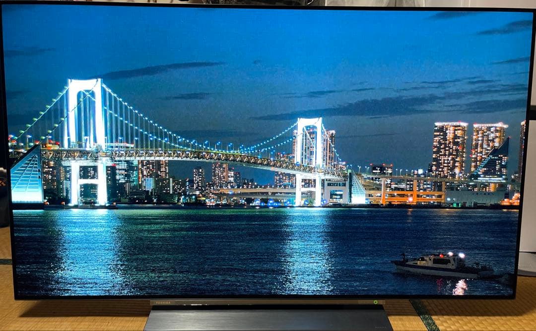 東芝 REGZA 55X830 55インチ 有機ELテレビ 美品 付属品完備