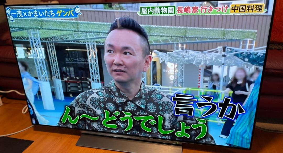 東芝 REGZA 55X830 55インチ 有機ELテレビ 美品 付属品完備