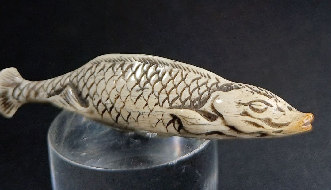 鯨歯彫 型彫 根付「川魚 」江戸時代 珍しい題材
