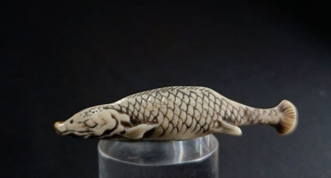鯨歯彫 型彫 根付「川魚 」江戸時代 珍しい題材