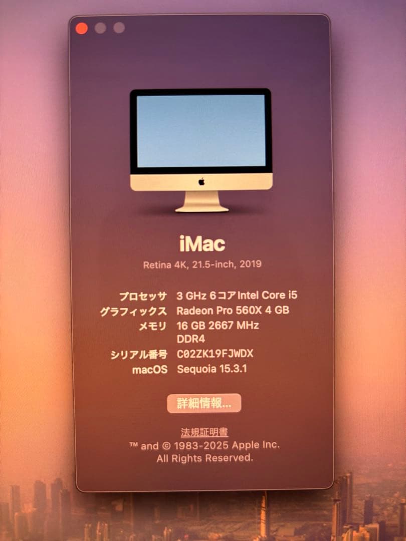 【美品】iMac 21.5(2019)メモリ16GB/SSD1TB/最新OS