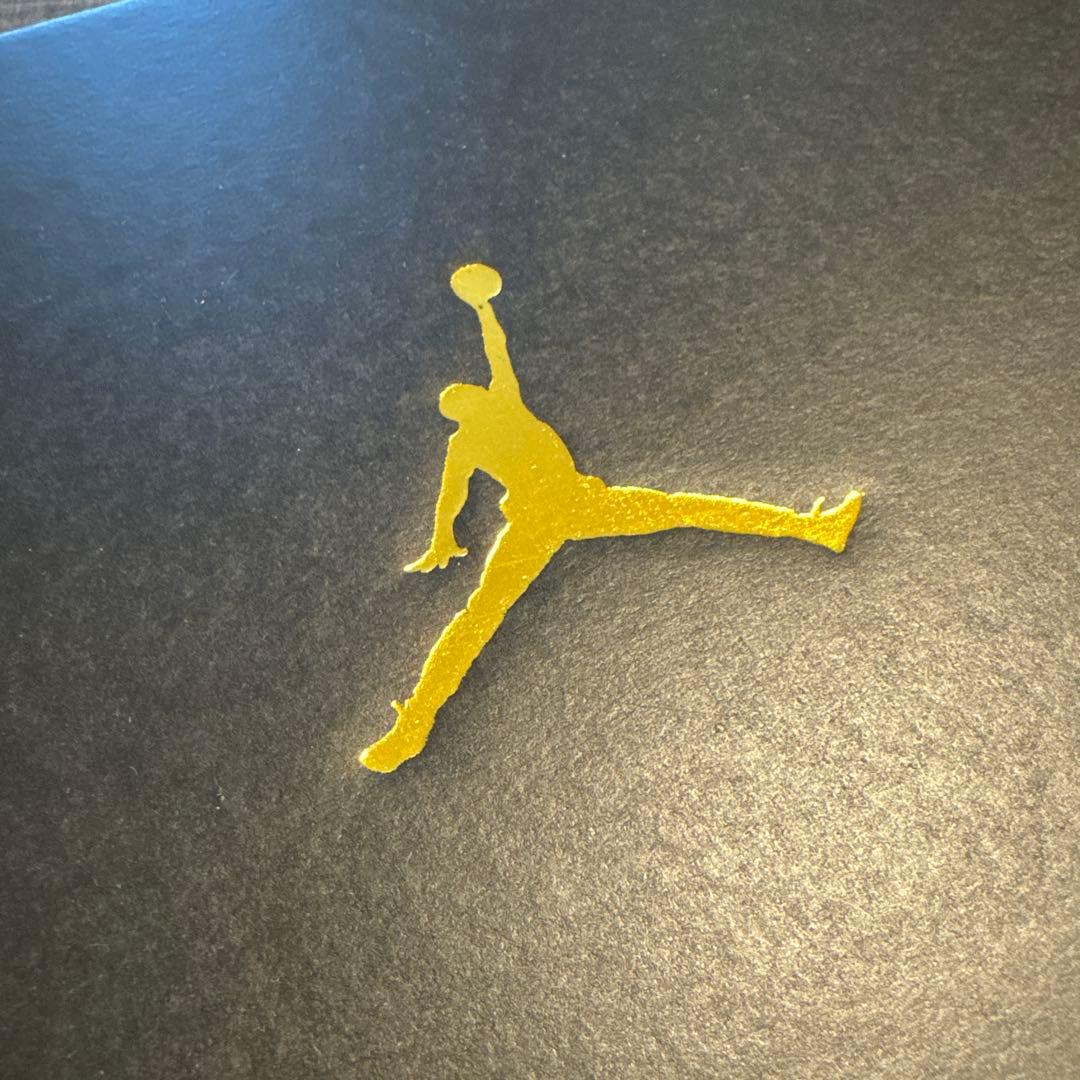 スニーカー 21cm JORDAN 1 LOW ALT NIKE