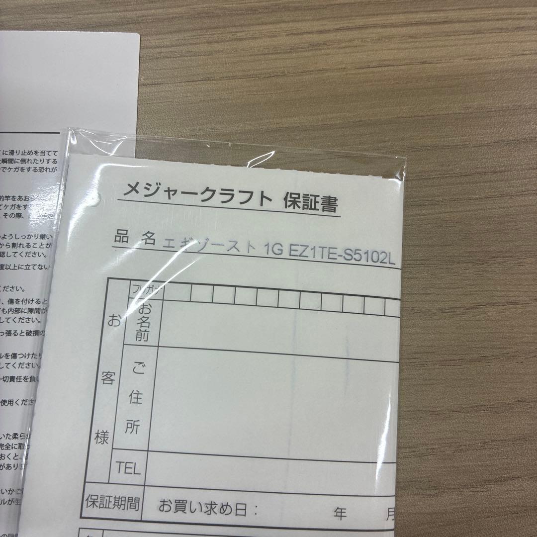 メジャークラフト　エギゾースト　ティップラン 1G EZ1TE-S5102L