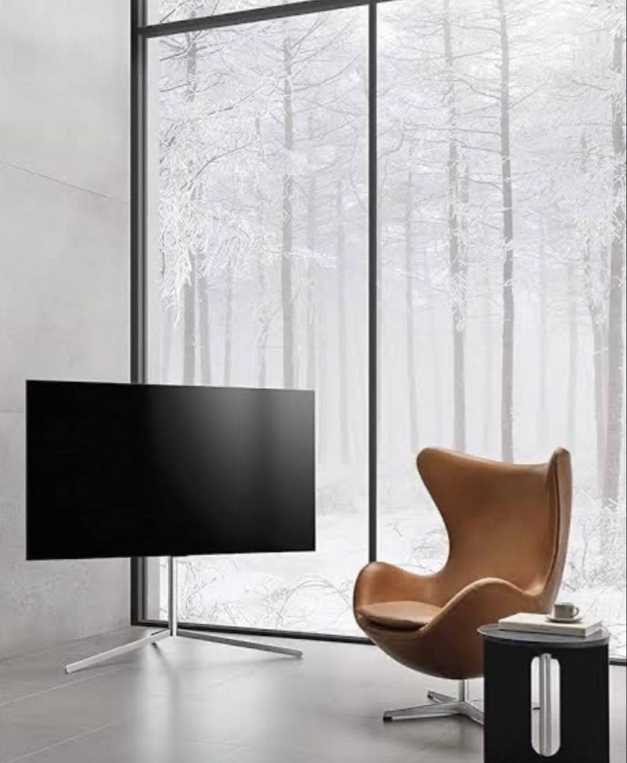 LG 有機EL テレビ 55 4K OLED55C2PJA 極美品　純正スタンド