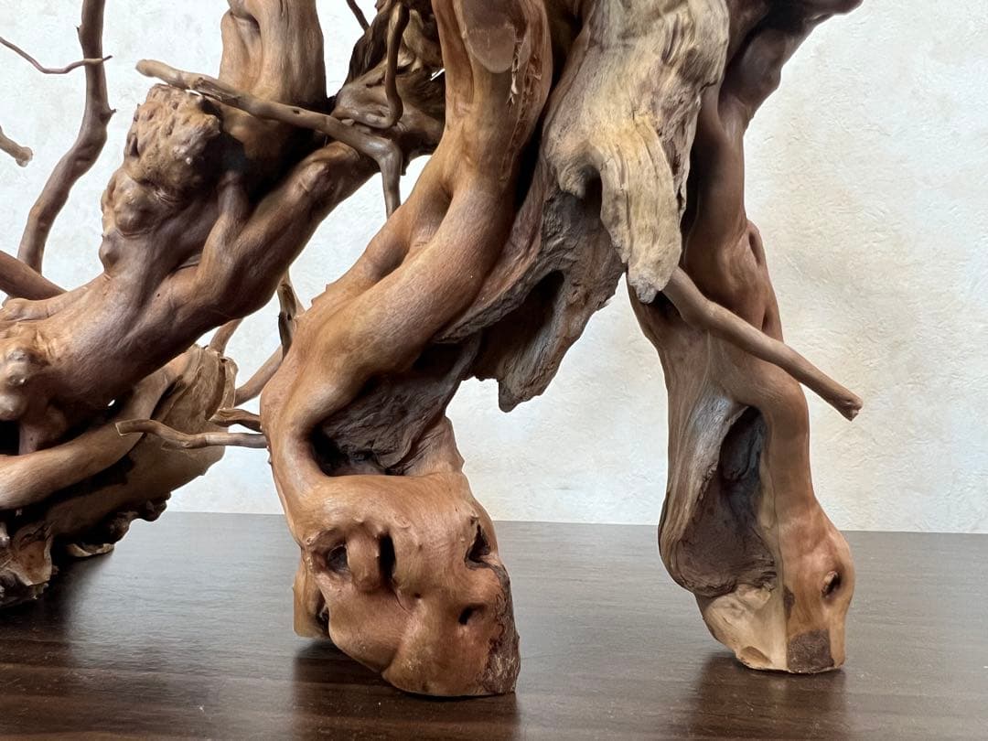 13004 ブランチウッド　流木　アクアリウム　沈水確認済