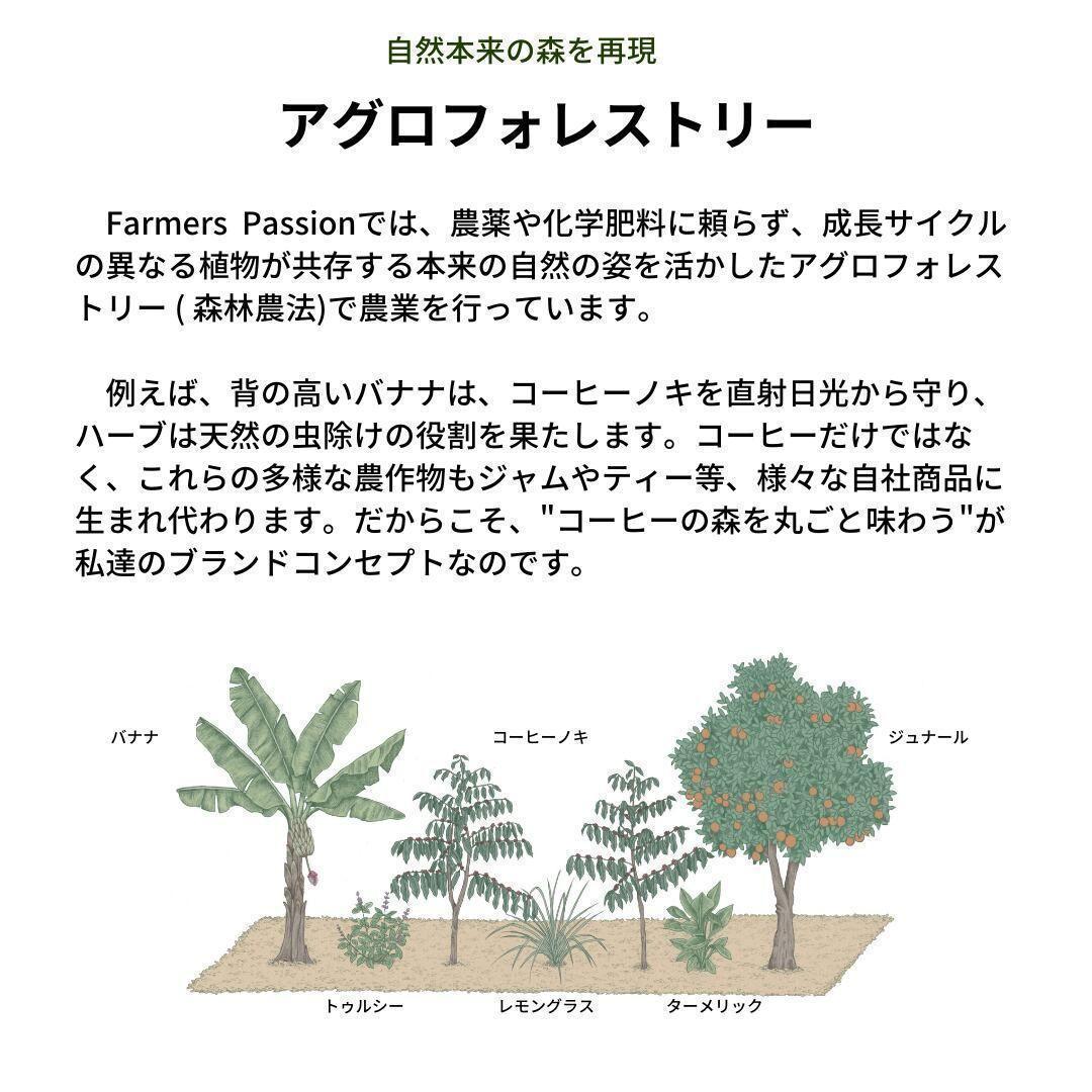 オーガニックコーヒー ストロング フェアトレード 1kg コーヒー豆 ネパール