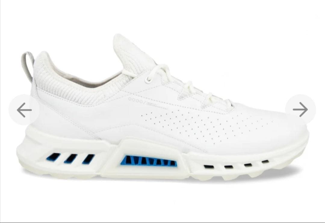 ecco バイオム C4 BIOM