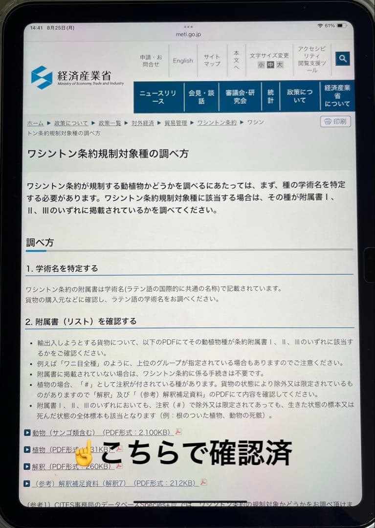 CORE-BOX様　骨格標本　カショーロ