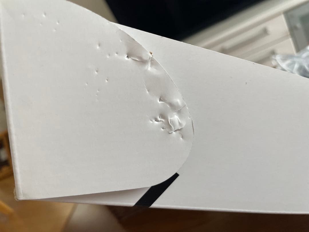 セルキュア4Tプラス Cell Cure BELEGA ベレガ《正規品》