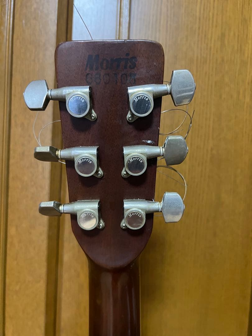 ギター MORRIS MD-515