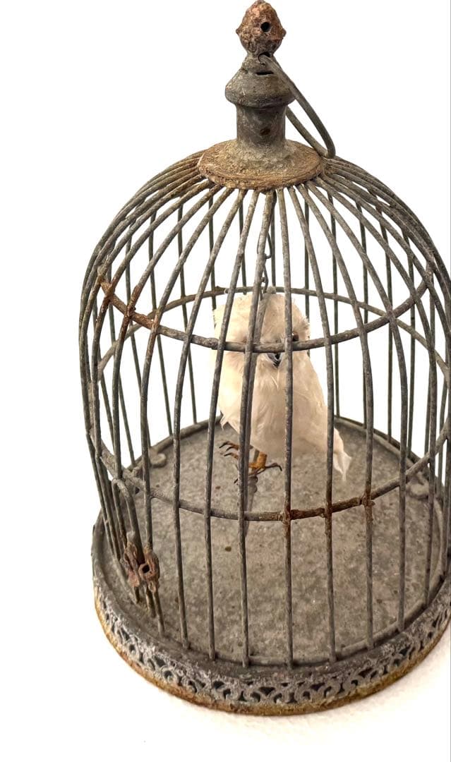 アンティーク鳥カゴオブジェ フクロウオブジェ付 undercover