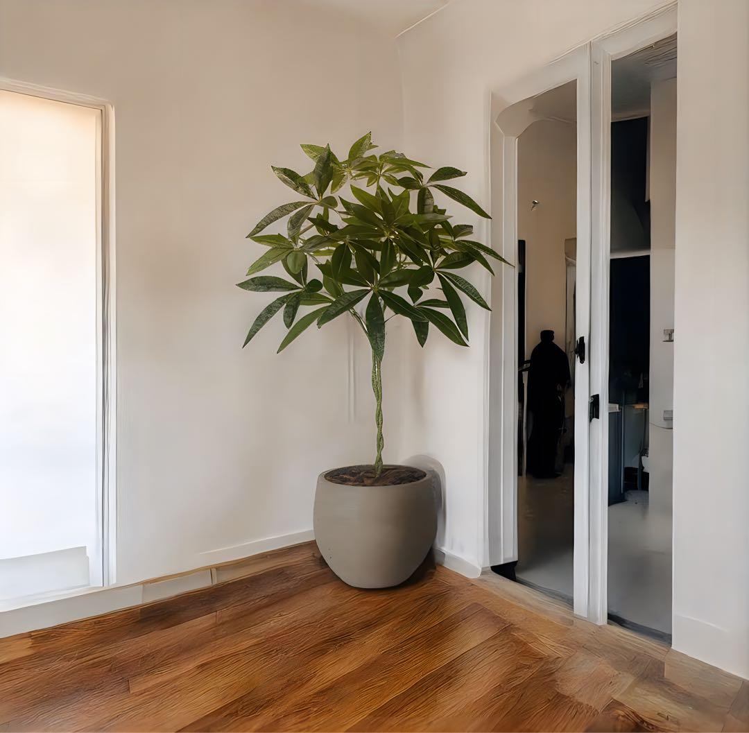 光触媒　人工観葉植物　ウォールグリーン　フェイクグリーン　ナチュラルパキラ90