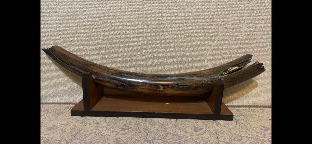 ★【実物】 大きなマンモスの牙 希少な一本モノ！ 美しい天然模様！