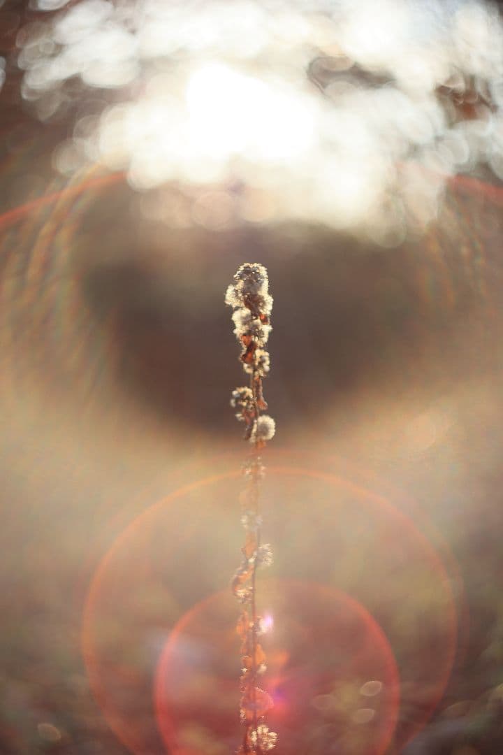 MC HELIOS-44M-6 58mm F2 《Valdai製》【美品】