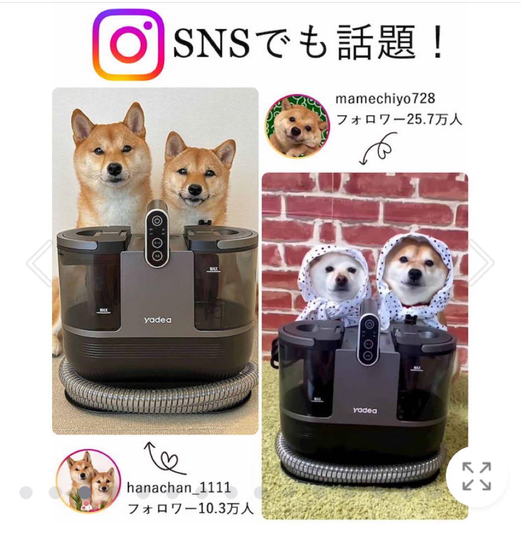 yadea R6 カーペット洗浄機