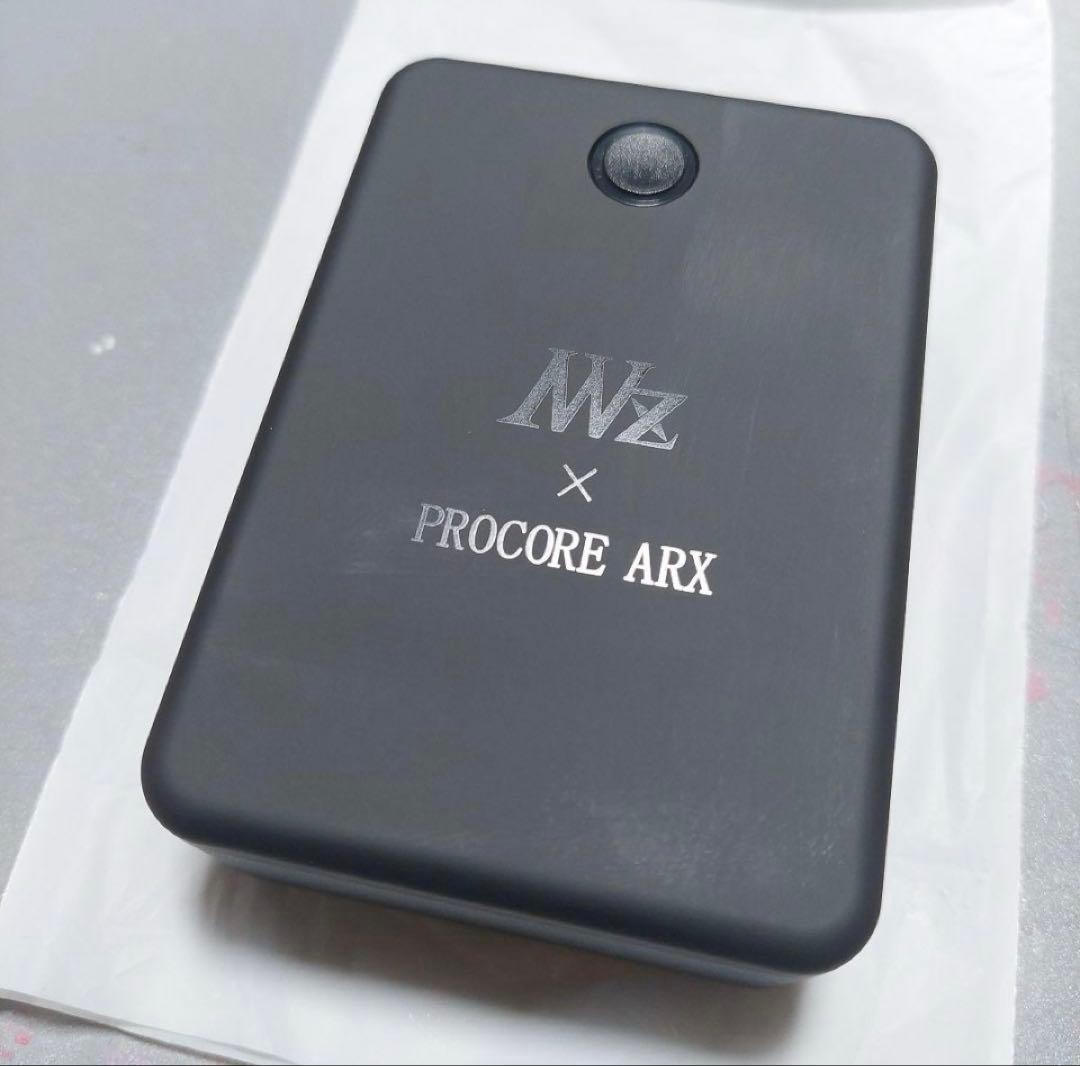 ワークマン　ペルチェベスト