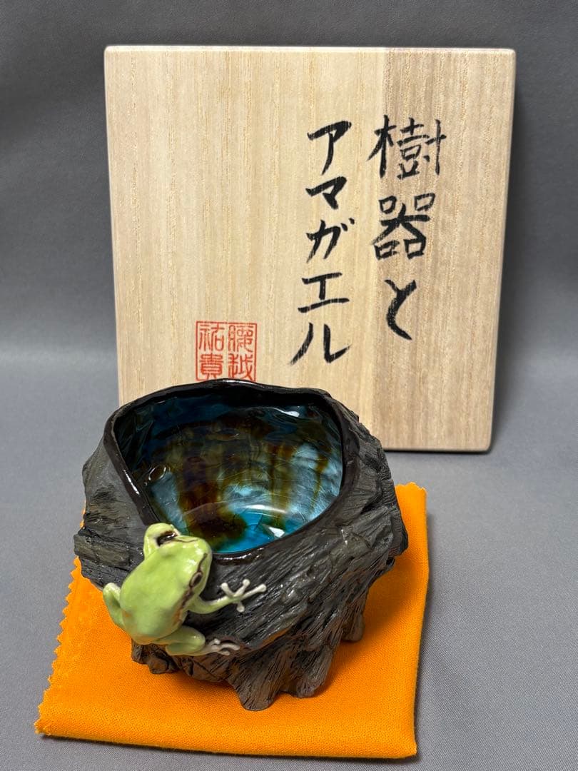 腰越祐貴　樹器とアマガエル