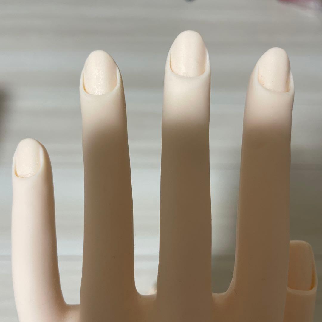 JNEC認定モデルハンド　1シート甘皮シール付き