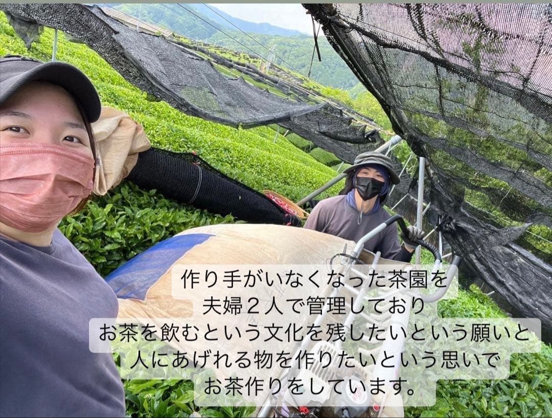 ＊専用＊日本の紅茶！柔らかい風味と甘み♪和紅茶ティーバッグLサイズ3g×70個