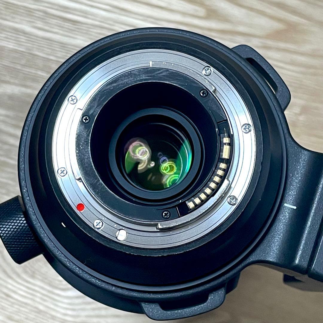 レンズ(ズーム) SIGMA 150-600mm F5-6.3 DG OS HSM