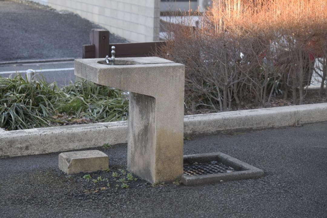 レンズ(ズーム) Nikon AF-S 55-300mm 4.5-5.6 G ED DX VR