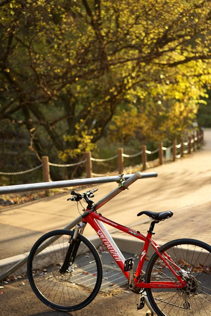 【ヤマ】SPECIALIZED Stumpjumper M4