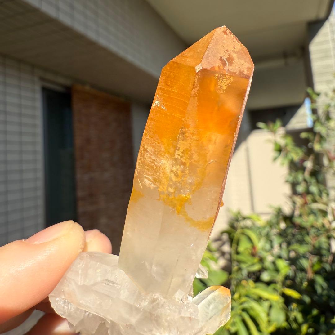 n.♡様　確認用