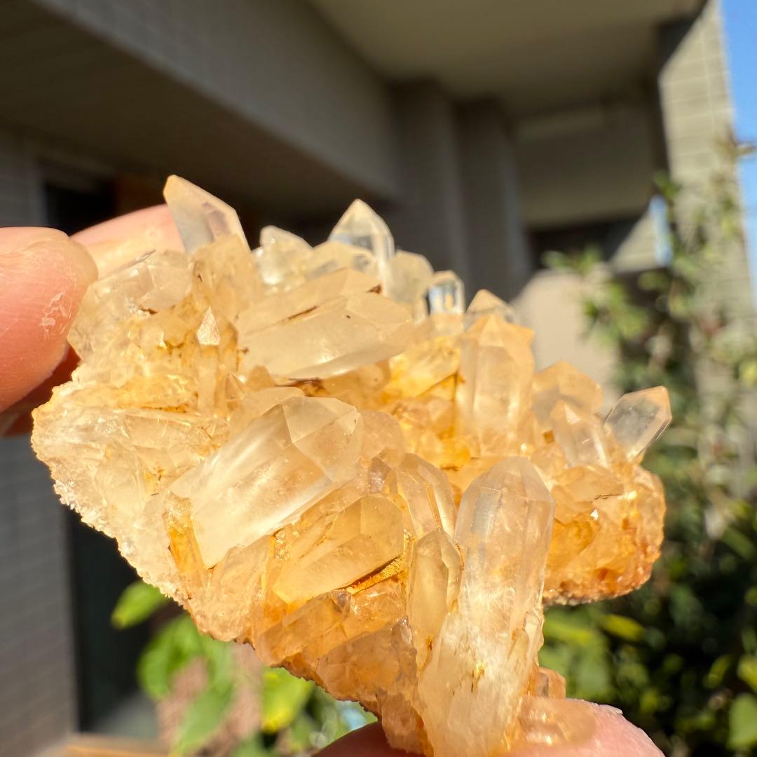 n.♡様　確認用