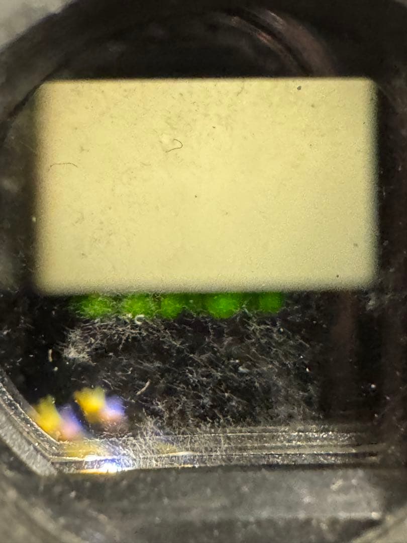 Nikon F100 一眼レフカメラ ストラップ付き