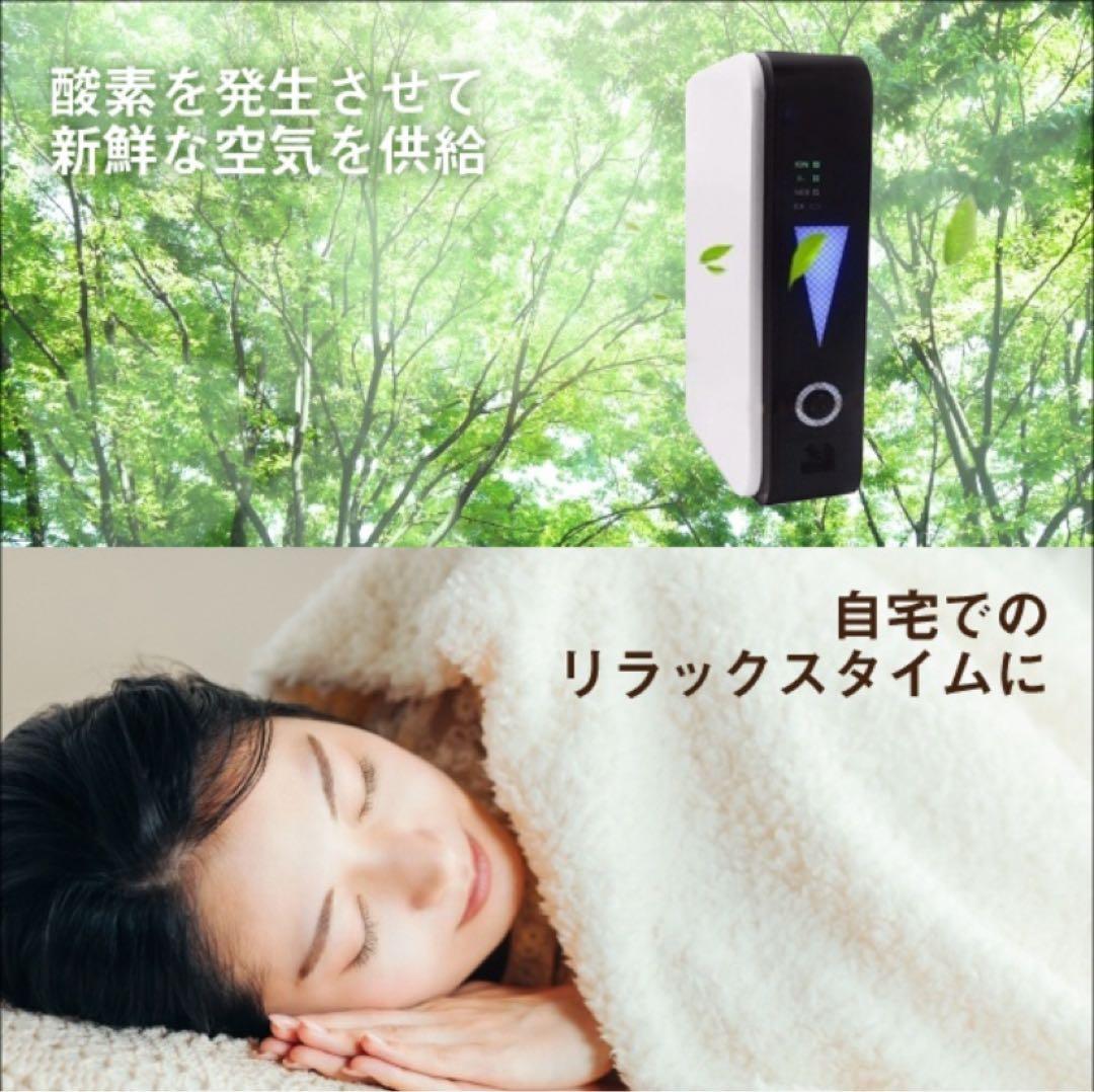 ⭐️ ポータブル酸素発生器 ❣️A4サイズ　約1L/分　＊家庭用　＊車載用❗️