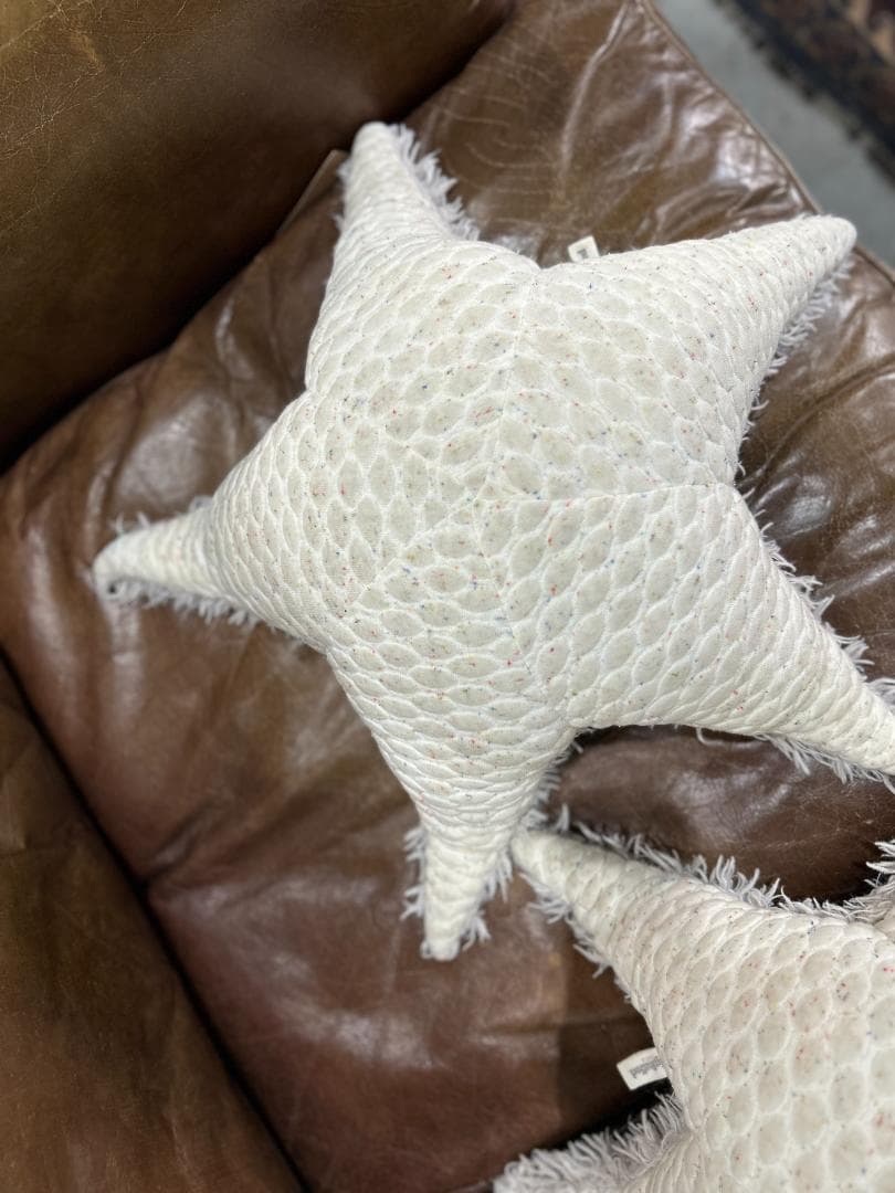 【セット】Ron Herman / ロンハーマン　BigStuffed　ヒトデ