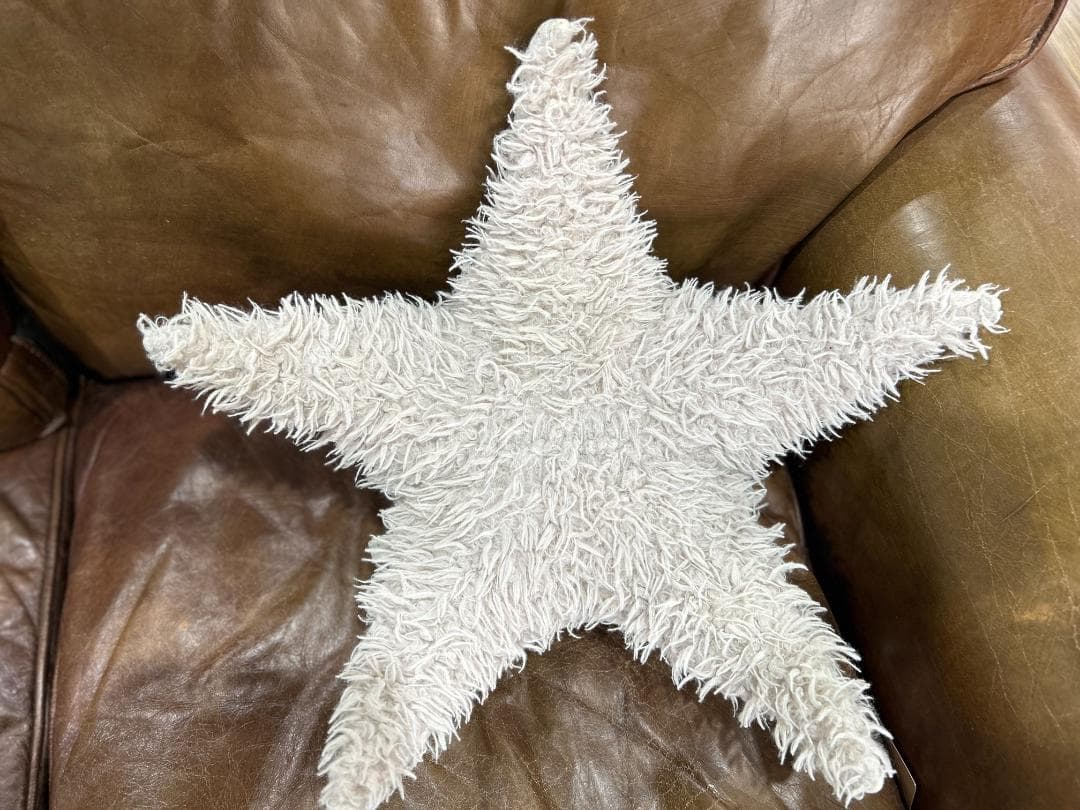 【セット】Ron Herman / ロンハーマン　BigStuffed　ヒトデ