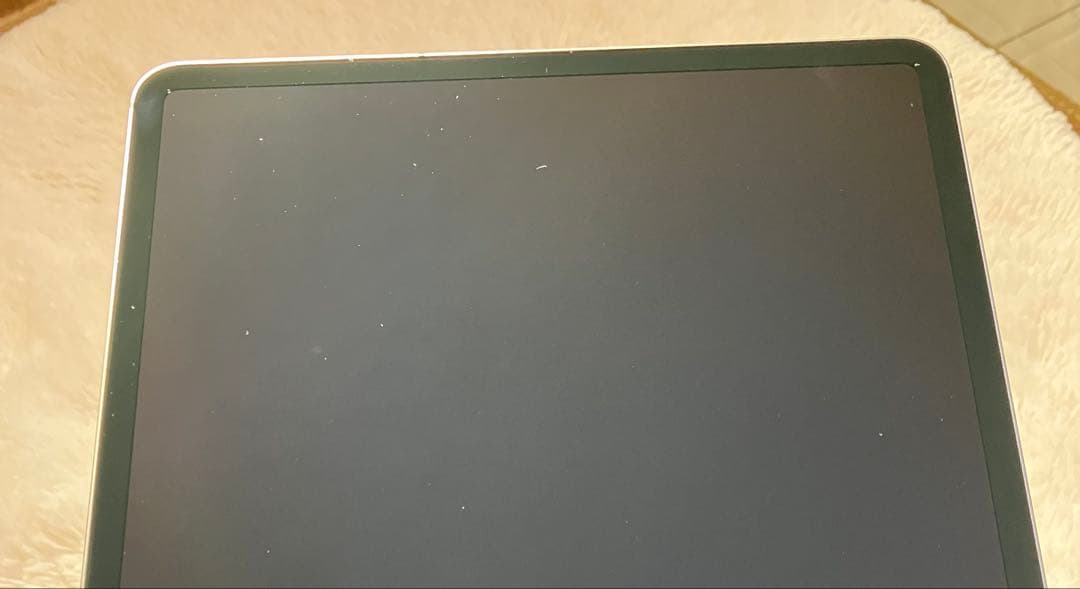 【完動品】iPad Pro 12.9 256GB SIMフリー 【発送】